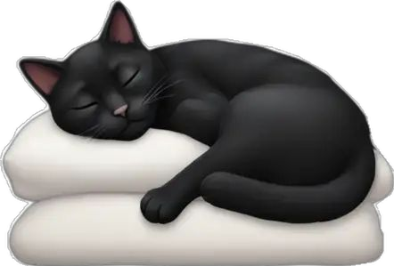 Black Cat