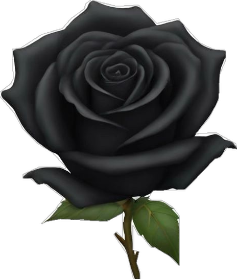 Black Flower