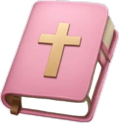 Pink Book