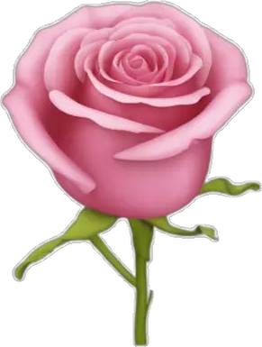 Pink Flower
