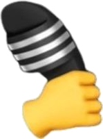 Slipper