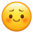 concerned emoji