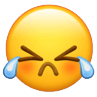 cry iOS WeChat Emoji