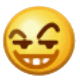 sly emoji